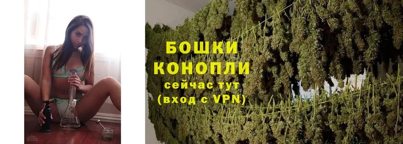 Канабис OG Kush  купить   Исилькуль 